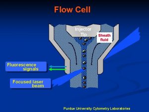 Flow Cell Injector Tip Sheath fluid Fluorescence signals