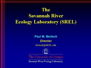 The Savannah River Ecology Laboratory SREL Paul M