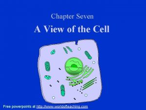 Chapter Seven A View of the Cell Free