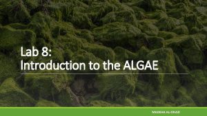 Lab 8 Introduction to the ALGAE MADEHA ALONAZI