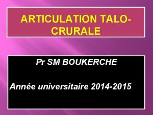 ARTICULATION TALOCRURALE Pr SM BOUKERCHE Anne universitaire 2014