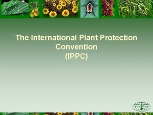 The International Plant Protection Convention IPPC Outline of