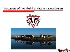 NEKLERN ST VERMN ETKLEYEN FAKTRLER Yerli Irklarmz Yerli