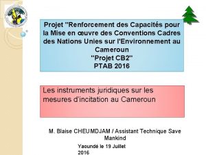 Projet Renforcement des Capacits pour la Mise en