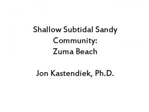 Shallow Subtidal Sandy Community Zuma Beach Jon Kastendiek
