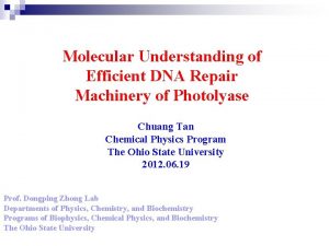 Molecular Understanding of Efficient DNA Repair Machinery of