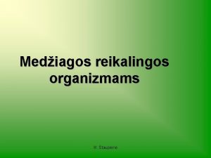 Mediagos reikalingos organizmams R taupien Klausimai pamstymui Mediagos