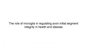 The role of microglia in regulating axon initial