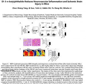Dl3 nbutylphthalide Reduces Neurovascular Inflammation and Ischemic Brain