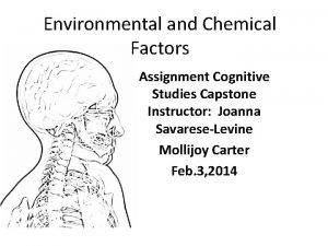 Environmental and Chemical Factors Assignment Cognitive Studies Capstone