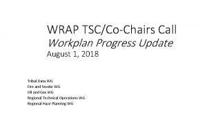 WRAP TSCCoChairs Call Workplan Progress Update August 1