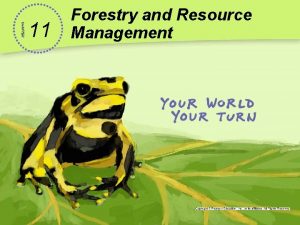 CHAPTER 11 Forestry and Resource Management Battling Over