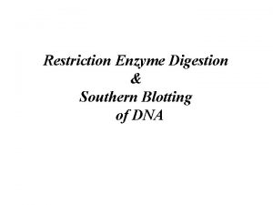 Restriction Enzyme Digestion Southern Blotting of DNA Experiment