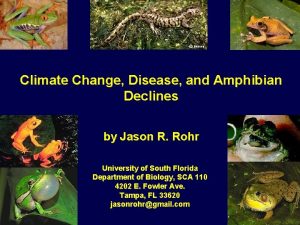 Climate Change Disease and Amphibian Declines by Jason