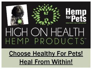 Choose Healthy For Pets Heal From Within High