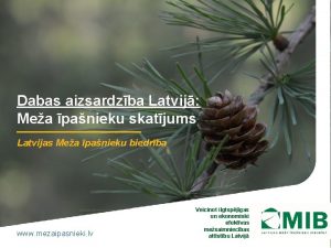 Dabas aizsardzba Latvij Mea panieku skatjums Latvijas Mea