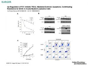 UpRegulation of P 21 Inhibits TRAILMediated Extrinsic Apoptosis