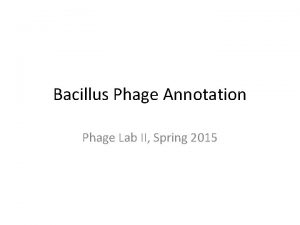 Bacillus Phage Annotation Phage Lab II Spring 2015