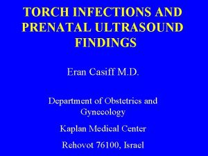 TORCH INFECTIONS AND PRENATAL ULTRASOUND FINDINGS Eran Casiff