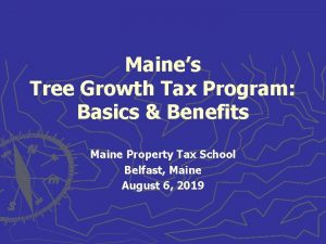 Maines Tree Growth Tax Program Basics Benefits Maine