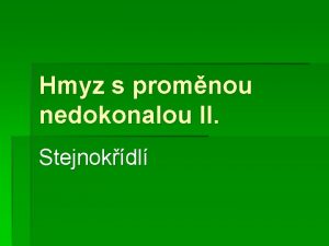 Hmyz s promnou nedokonalou II Stejnokdl bodav sac