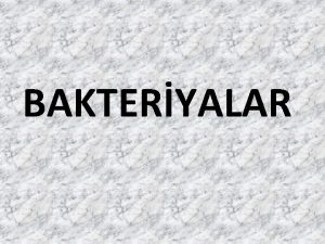 Bakteryalar