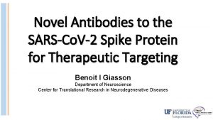 Novel Antibodies to the SARSCo V2 Spike Protein