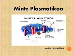 Mintz Plasmatikoa ANDER ANSOLEAGA Zer da mintz plasmatikoa