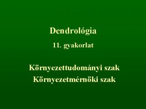 Dendrolgia 11 gyakorlat Krnyezettudomnyi szak Krnyezetmrnki szak Pinus