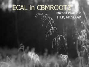 ECAL in CBMROOT 2 Mikhail Prokudin ITEP MOSCOW