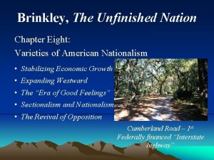 Brinkley The Unfinished Nation Chapter Eight Varieties of