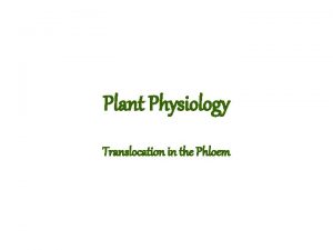 Plant Physiology Translocation in the Phloem Land colonization