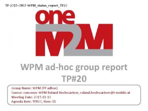 TP2015 0867 WPMstatusreportTP 20 WPM adhoc group report