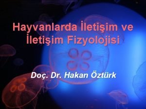 Hayvanlarda letiim ve letiim Fizyolojisi Do Dr Hakan