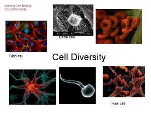 Leaving Cert Biology 2 4 Cell Diversity Bone