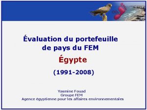 valuation du portefeuille de pays du FEM gypte