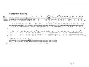 RPS 12 5 UTR Form B 72 68