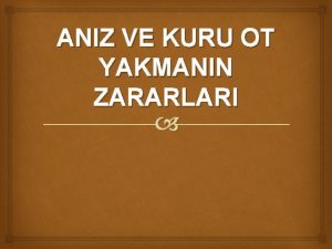 ANIZ VE KURU OT YAKMANIN ZARARLARI Trkiyenin drt