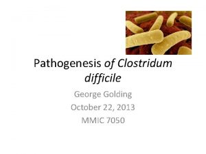 Pathogenesis of Clostridum difficile George Golding October 22