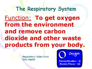 The Respiratory System Function To get oxygen from