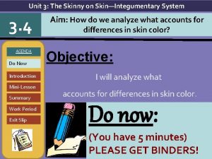 Unit 3 The Skinny on SkinIntegumentary System 3