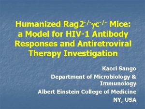 Humanized Rag 2 c Mice a Model for