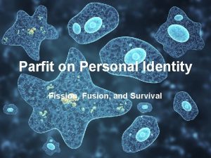 Parfit on Personal Identity Fission Fusion and Survival