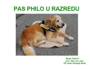 PAS PHILO U RAZREDU Manja Vidovi univ dipl