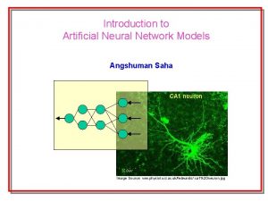 Introduction to Artificial Neural Network Models Angshuman Saha