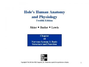 Holes Human Anatomy and Physiology Twelfth Edition Shier