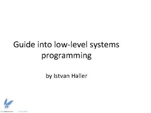 Guide into lowlevel systems programming by Istvan Haller