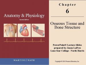 Chapter 6 Osseous Tissue and Bone Structure Power