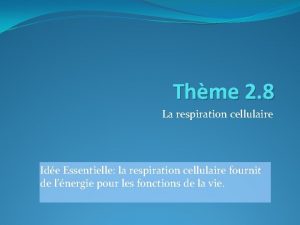 Thme 2 8 La respiration cellulaire Ide Essentielle