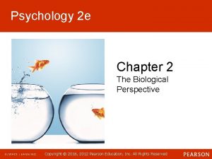 Psychology 2 e Chapter 2 The Biological Perspective
